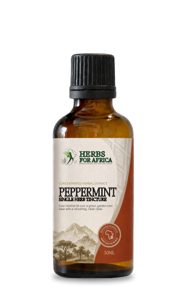 Peppermint Single Herb Tincture by Herbs for Africa