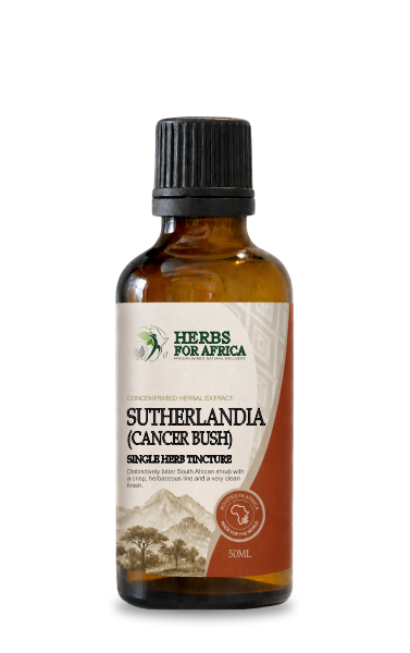 Sutherlandia Cancer Bush Single Herb Tincture by Herbs for Africa
